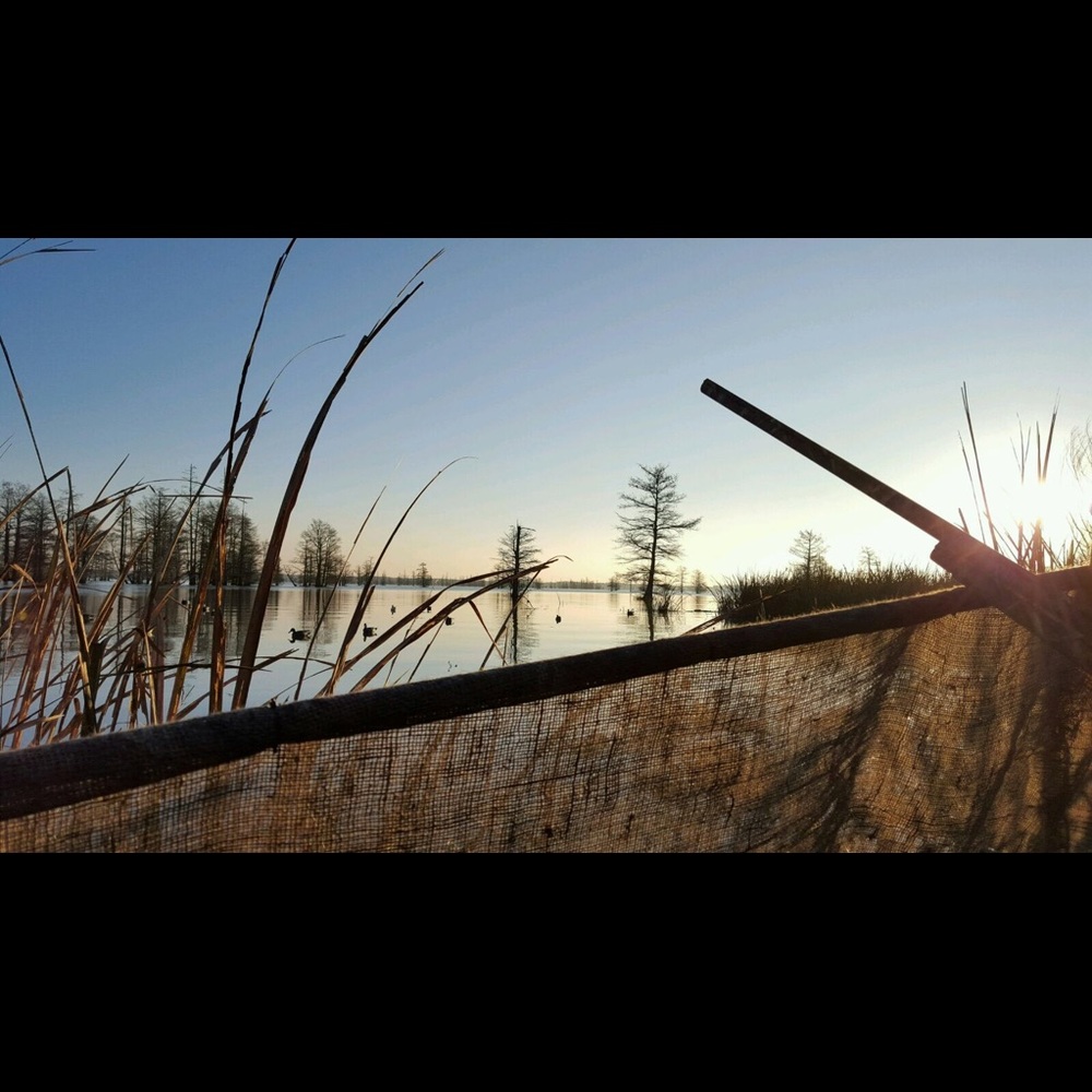 Meet your Posher, Baron